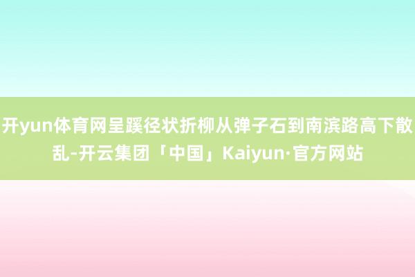 开yun体育网呈蹊径状折柳从弹子石到南滨路高下散乱-开云集团「中国」Kaiyun·官方网站