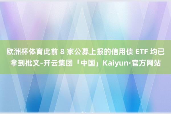 欧洲杯体育此前 8 家公募上报的信用债 ETF 均已拿到批文-开云集团「中国」Kaiyun·官方网站