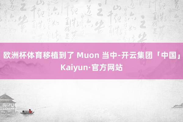 欧洲杯体育移植到了 Muon 当中-开云集团「中国」Kaiyun·官方网站