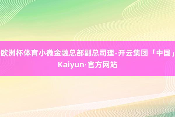 欧洲杯体育小微金融总部副总司理-开云集团「中国」Kaiyun·官方网站