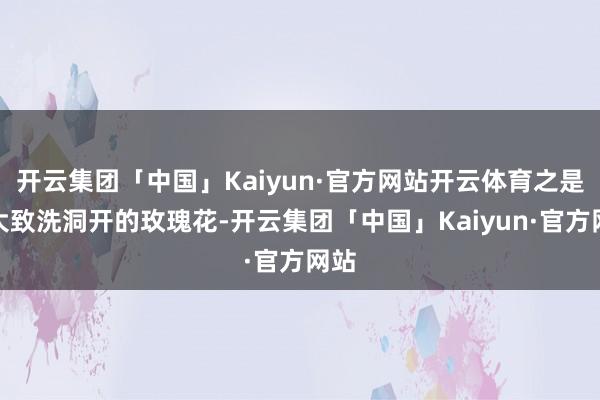 开云集团「中国」Kaiyun·官方网站开云体育之是以大致洗洞开的玫瑰花-开云集团「中国」Kaiyun·官方网站