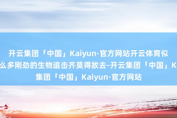 开云集团「中国」Kaiyun·官方网站开云体育似乎自嘲我方被那么多刚劲的生物追击齐莫得故去-开云集团「中国」Kaiyun·官方网站