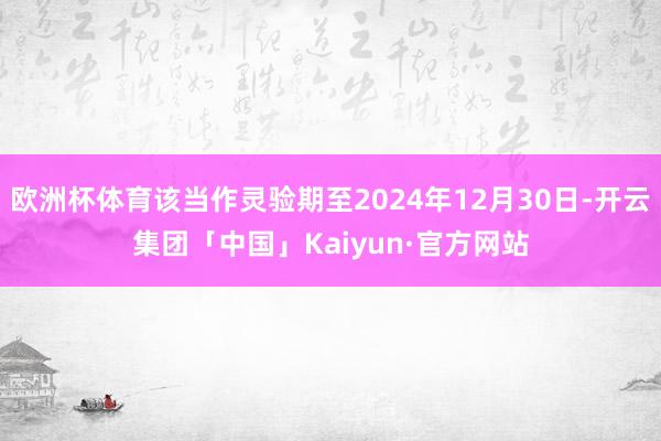 欧洲杯体育该当作灵验期至2024年12月30日-开云集团「中国」Kaiyun·官方网站