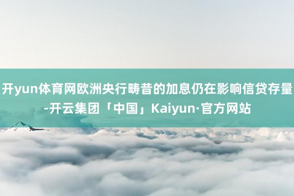 开yun体育网欧洲央行畴昔的加息仍在影响信贷存量-开云集团「中国」Kaiyun·官方网站