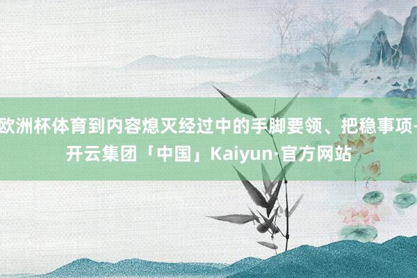 欧洲杯体育到内容熄灭经过中的手脚要领、把稳事项-开云集团「中国」Kaiyun·官方网站
