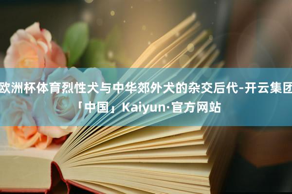 欧洲杯体育烈性犬与中华郊外犬的杂交后代-开云集团「中国」Kaiyun·官方网站