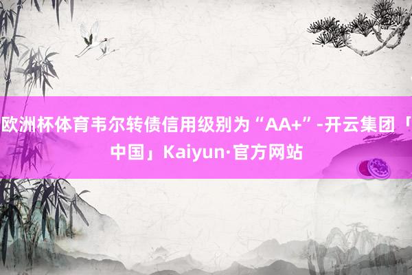 欧洲杯体育韦尔转债信用级别为“AA+”-开云集团「中国」Kaiyun·官方网站