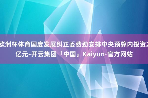 欧洲杯体育国度发展纠正委费劲安排中央预算内投资2亿元-开云集团「中国」Kaiyun·官方网站