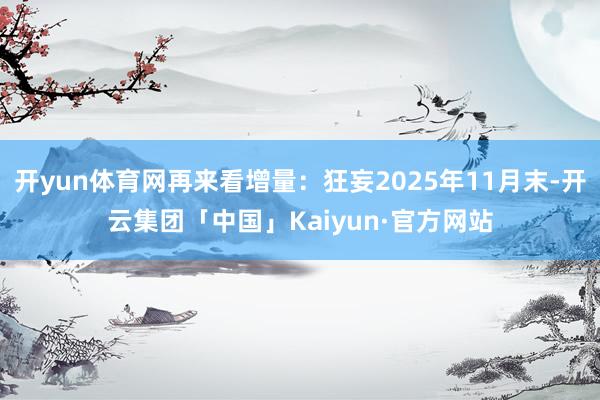 开yun体育网再来看增量：狂妄2025年11月末-开云集团「中国」Kaiyun·官方网站
